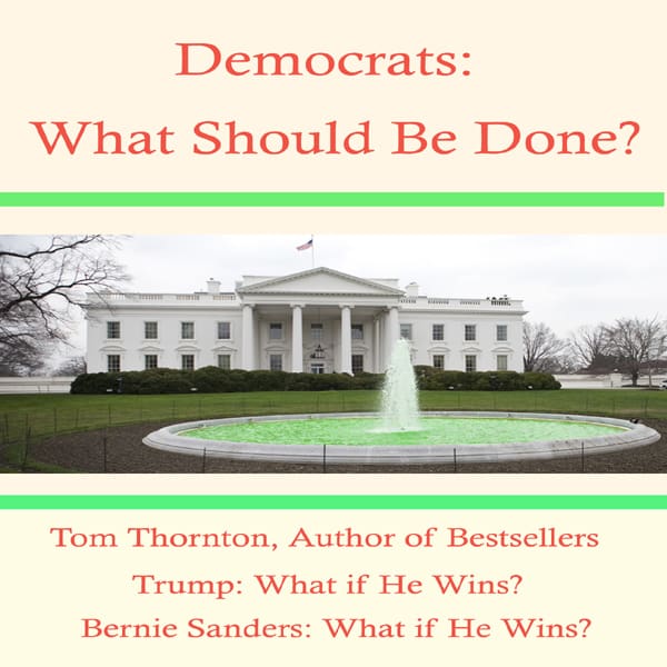 Democrats, A Fire Bell in the Night so What Should be Done? - ebook