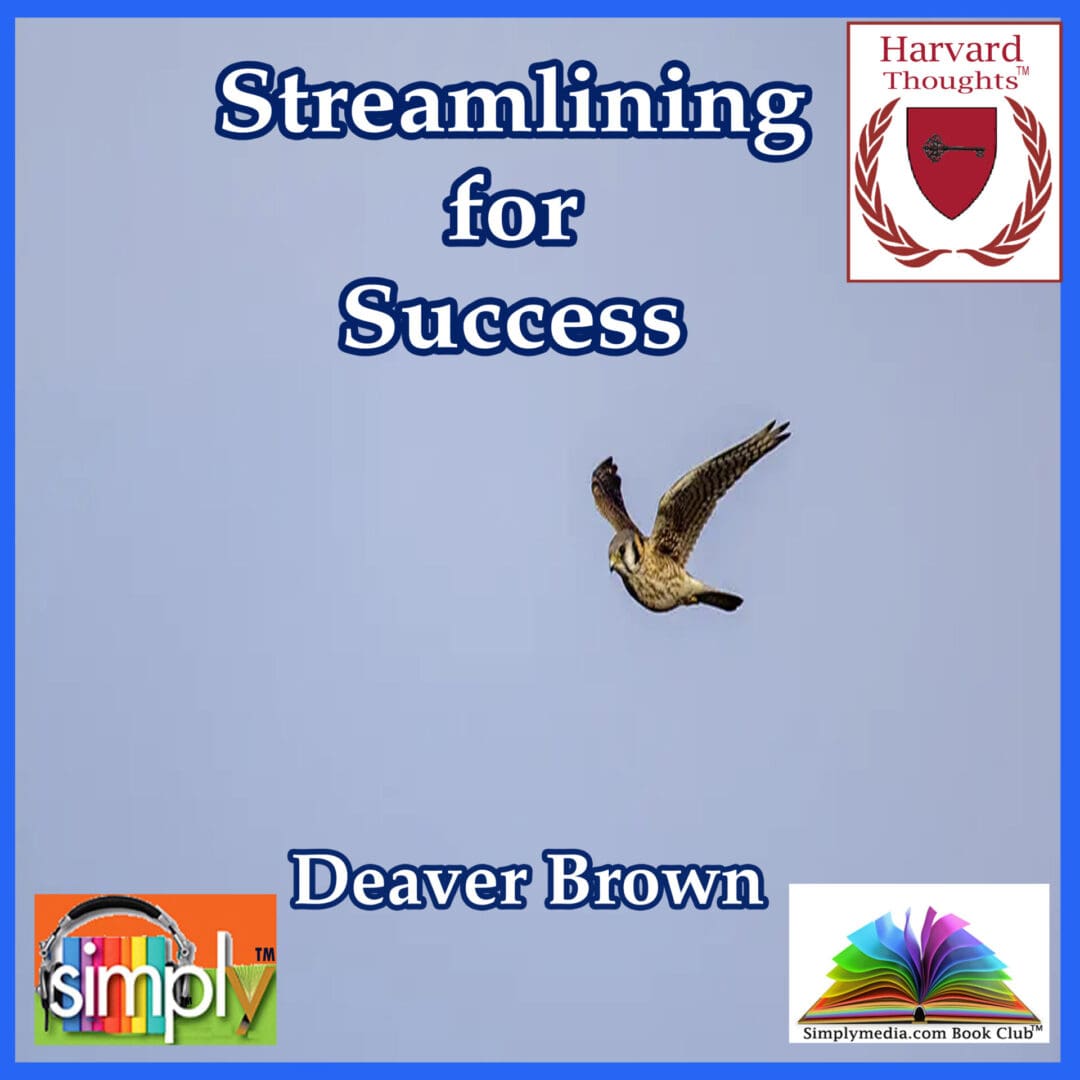 Streamlining for Success - ebook