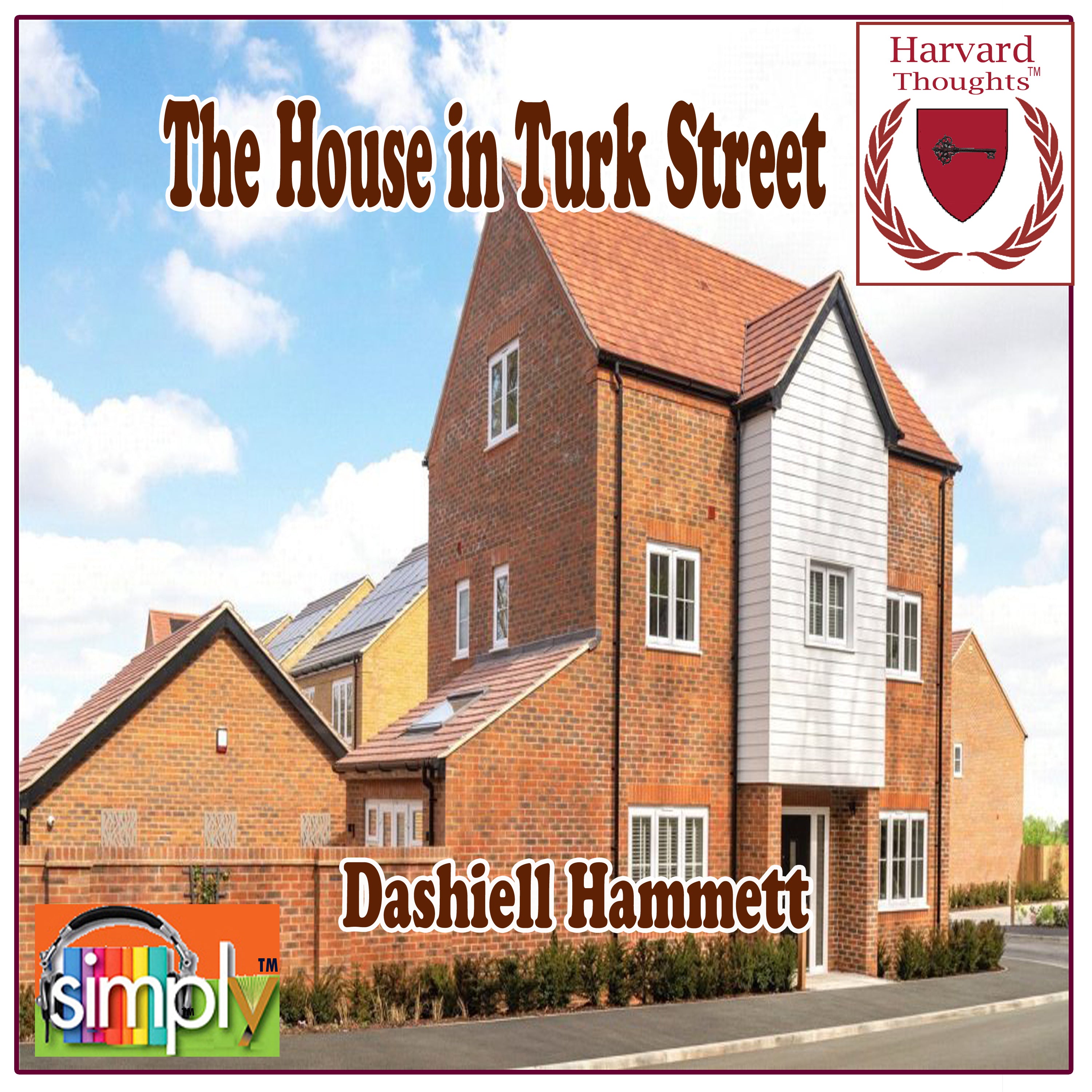 The House in Turk Street