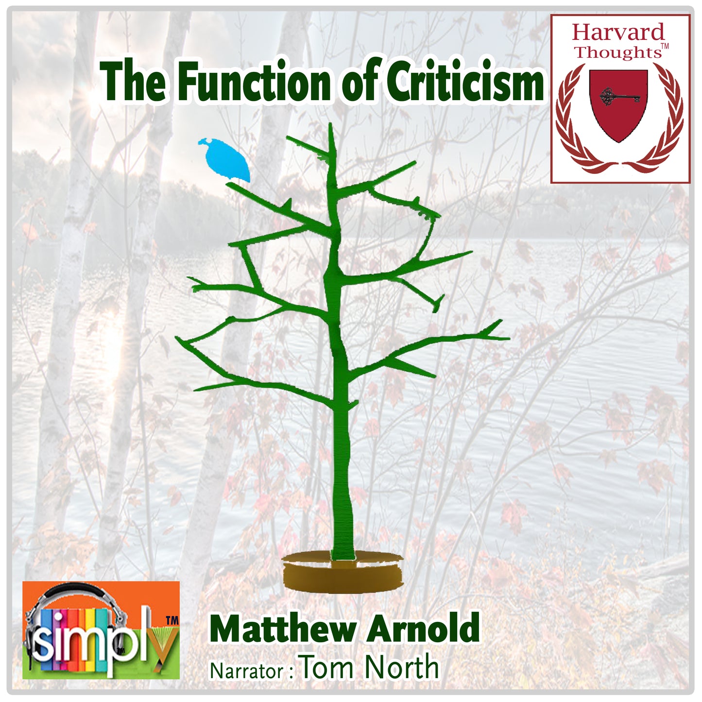 The Function of Criticism at the Present Time  - Audiobook