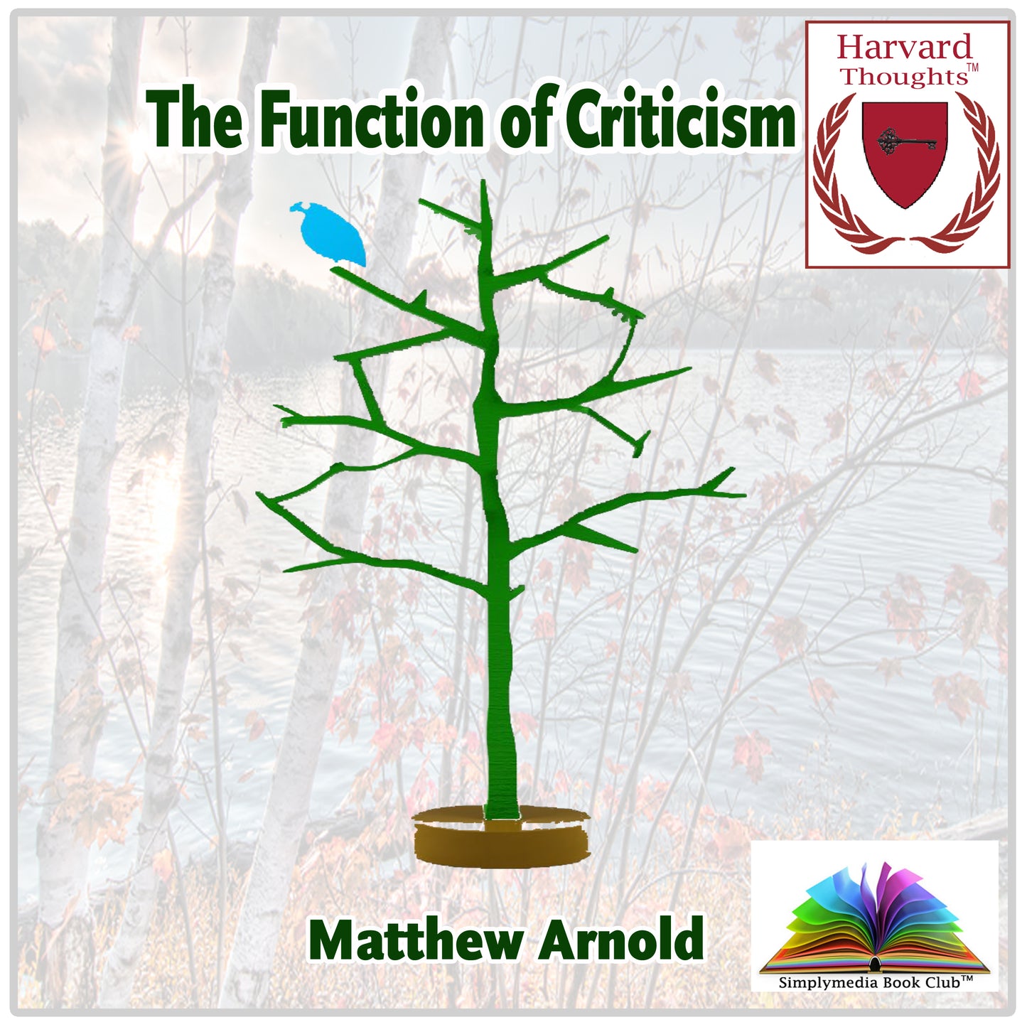 The Function of Criticism at the Present Time  - ebook