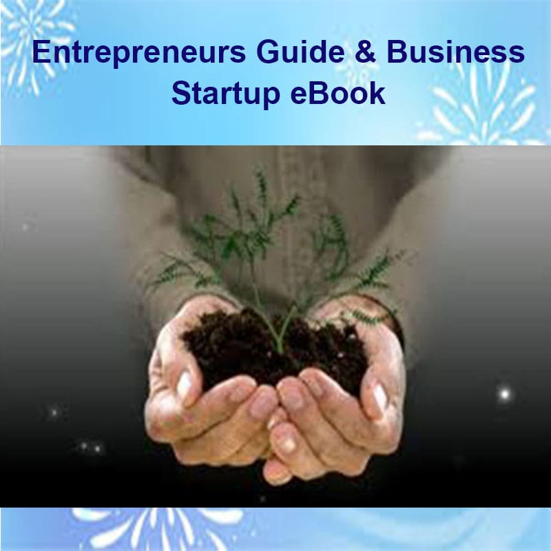 Entrepreneurs Guide Business Startup eBook